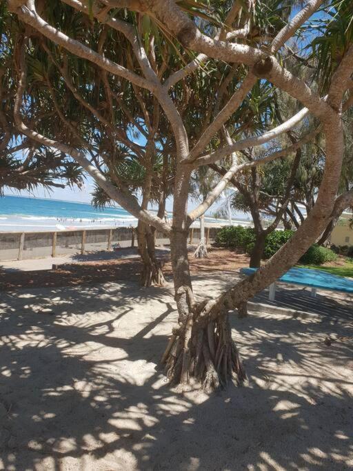 Pet Friendly & Spacious Two Bedroom Guest Unit Caloundra Eksteriør billede